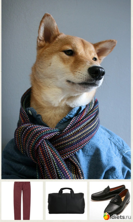 �� ��� �� ����������!, ������: ����� � �������� 2013 ���