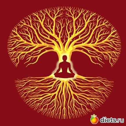 ����� �������� ��������� ���� �������� ���������