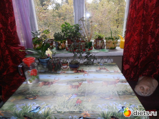 18 ����: ����-����