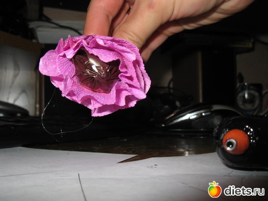 19 ����: ��