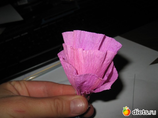 20 ����: ��