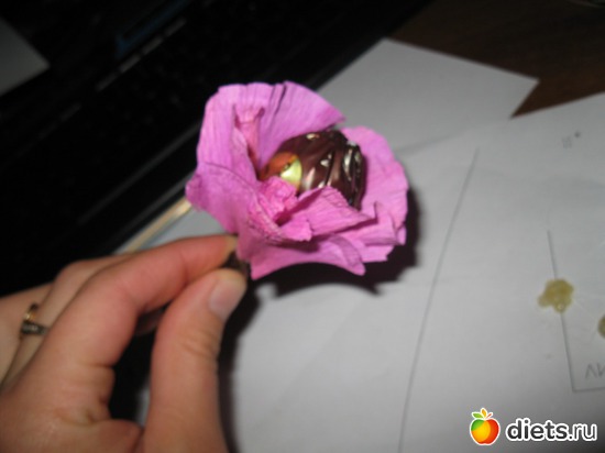 40 ����: ��