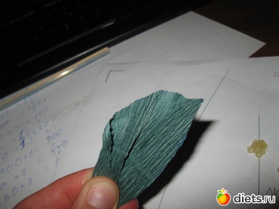 43 ����: ��