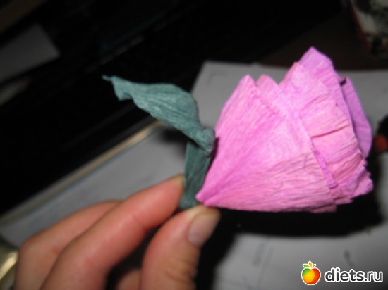 46 ����: ��