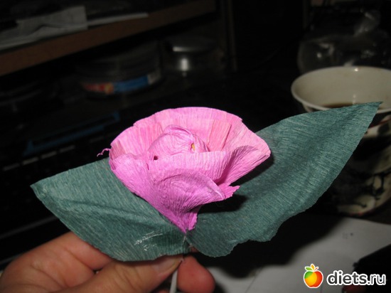 61 ����: ��