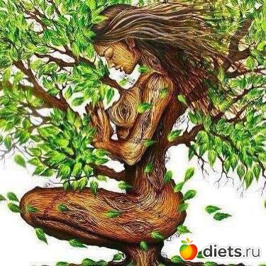 ����� �������� ��������� ���� �������� ���������