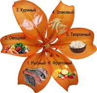 После 3-го дня диеты "6лепестков"