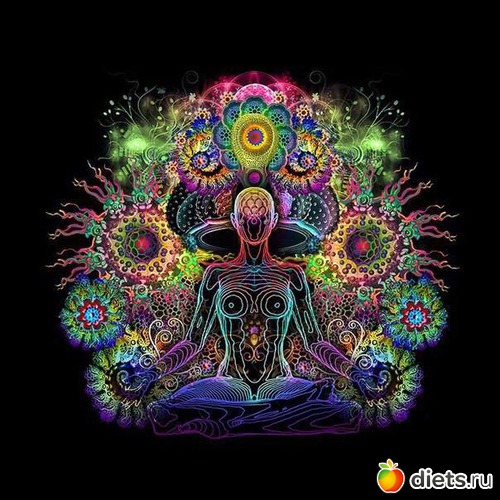 ����� �������� ��������� ���� �������� ���������, ������: 2013 - ������� - ������ ����� �����