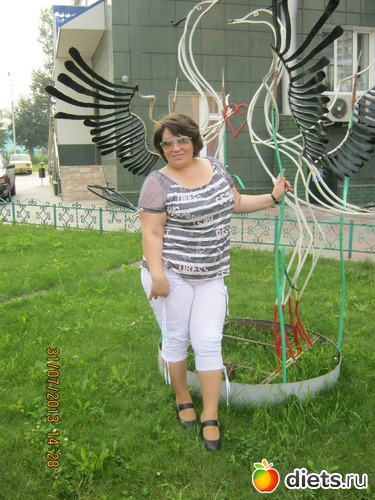 6 ����: ������ 2013