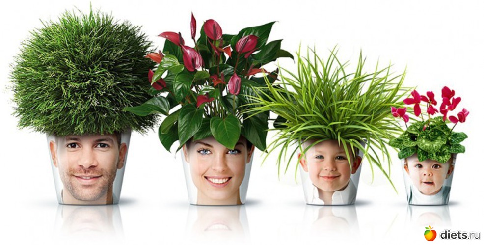 27 ����: ����