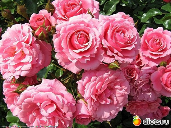 1 ����: ����