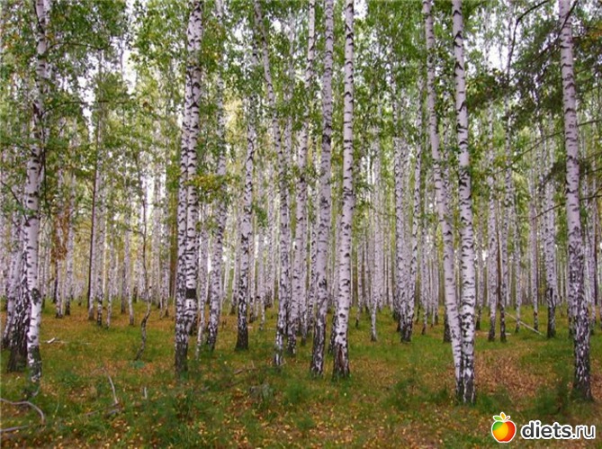 8 ����: ����