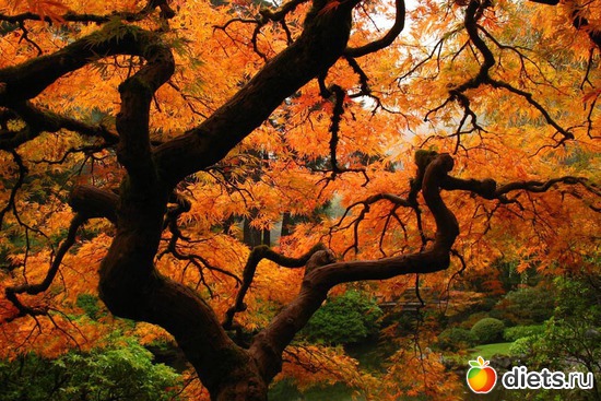 11 ����: ����