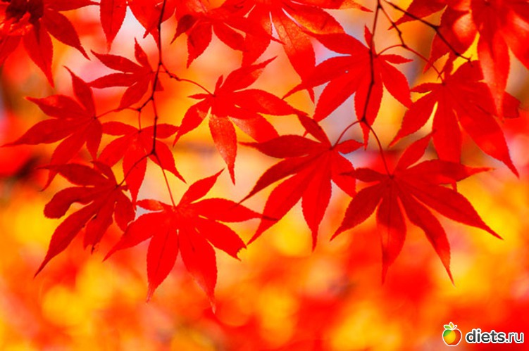 20 ����: ����