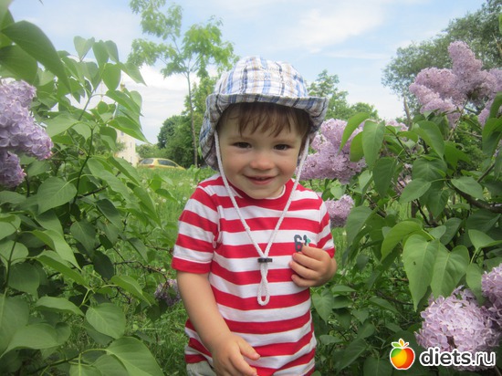 17 ����: ������� ���� �����