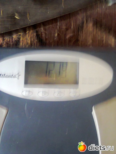 37 ����: �����