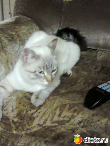 38 ����: �����