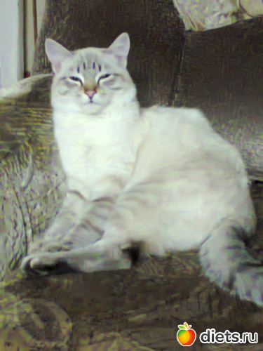 42 ����: �����