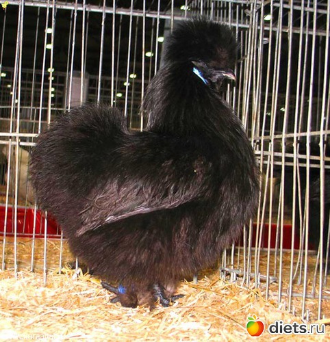 3 ����: ��������� ����