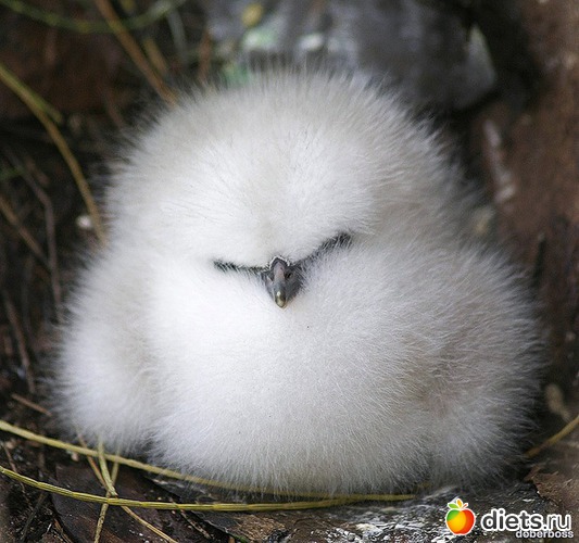 4 ����: ��������� ����