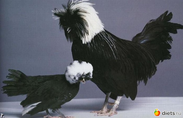 5 ����: ��������� ����