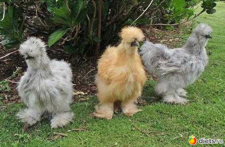 6 ����: ��������� ����