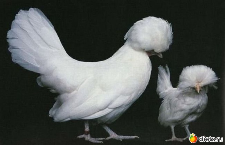 7 ����: ��������� ����