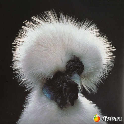 8 ����: ��������� ����