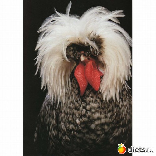 10 ����: ��������� ����