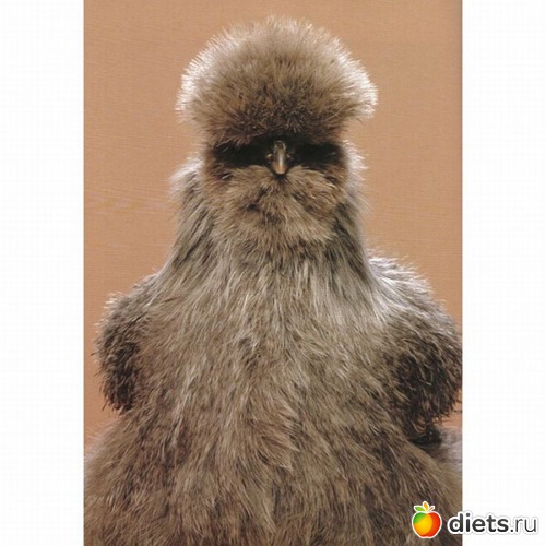 11 ����: ��������� ����