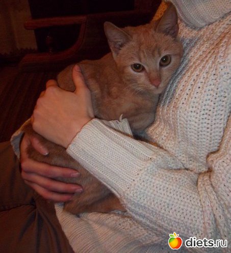 ������ ����