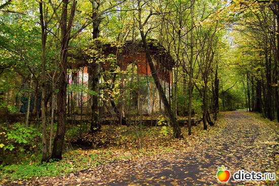 nikon d 3100 kit 18-55, :    &quot; &quot; 