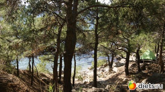 3 ����: ��� �� �