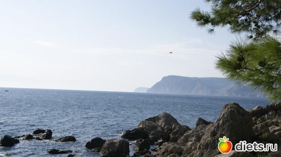 9 ����: ��� �� �