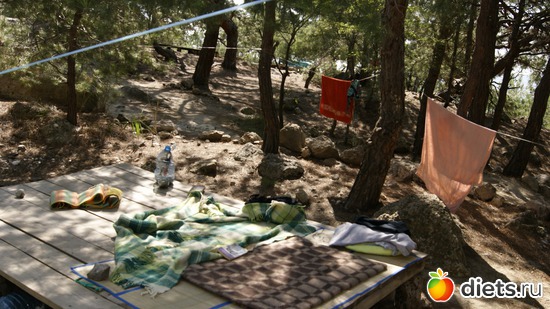 16 ����: ��� �� �