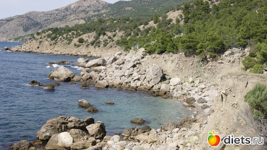 17 ����: ��� �� �