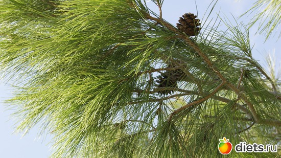 20 ����: ��� �� �