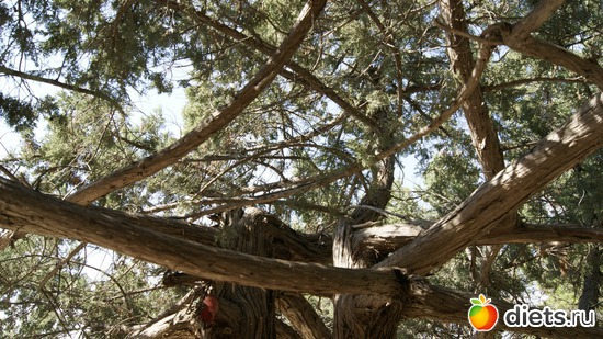 21 ����: ��� �� �