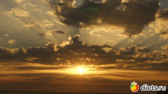 26 ����: ��� �� �