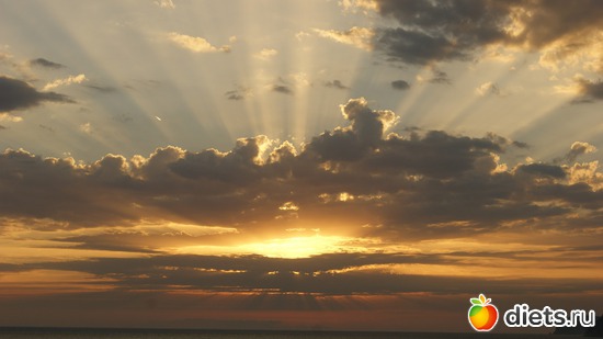 28 ����: ��� �� �