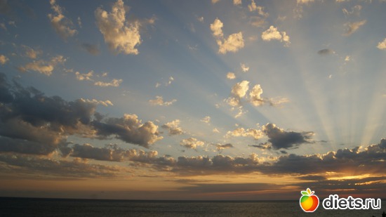 29 ����: ��� �� �