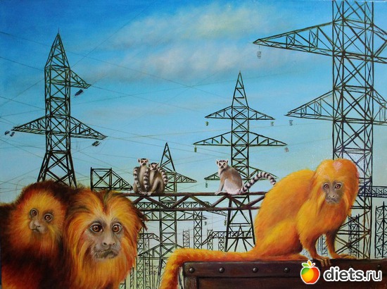 31 фото: Стас Шевцов художник