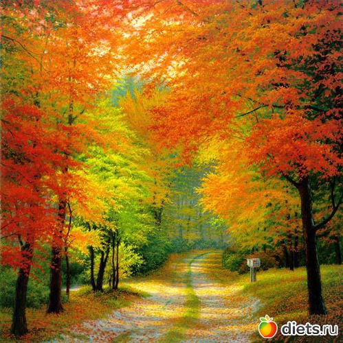 1 ����: ��� ��������� ������ ������