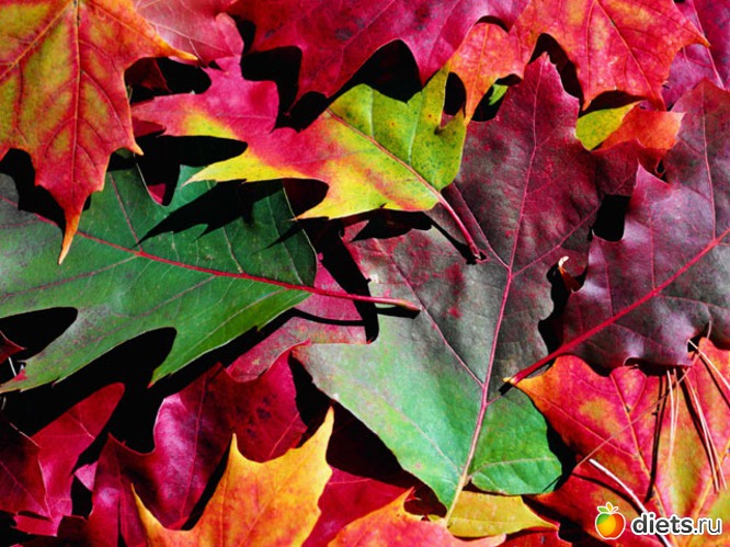 4 ����: ��� ��������� ������ ������