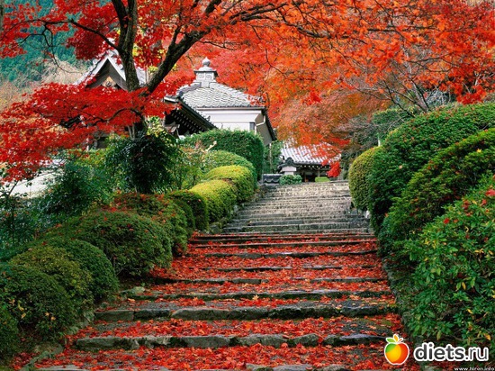 5 ����: ��� ��������� ������ ������