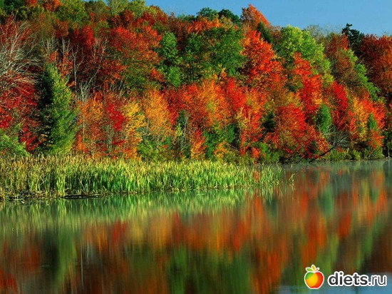 7 ����: ��� ��������� ������ ������