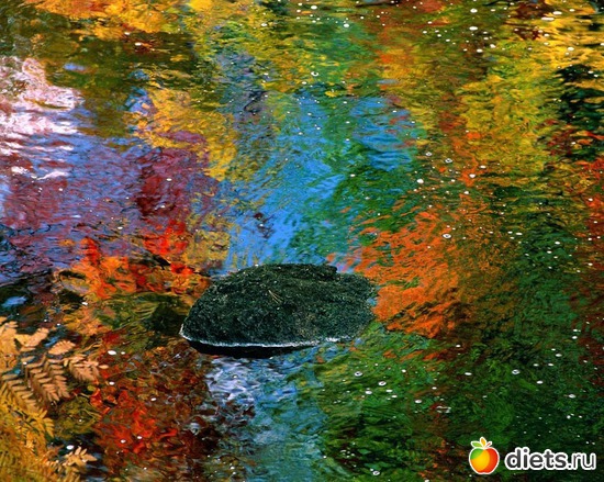 8 ����: ��� ��������� ������ ������