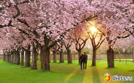 9 ����: ��� ��������� ������ ������