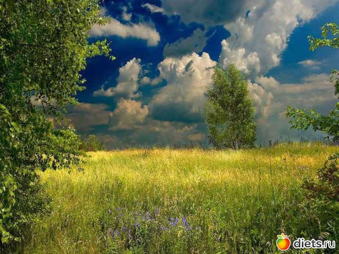 13 ����: ��� ��������� ������ ������