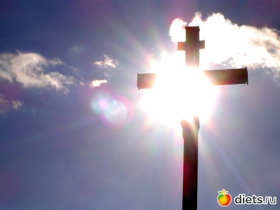 14 ����: ��� ��������� ������ ������